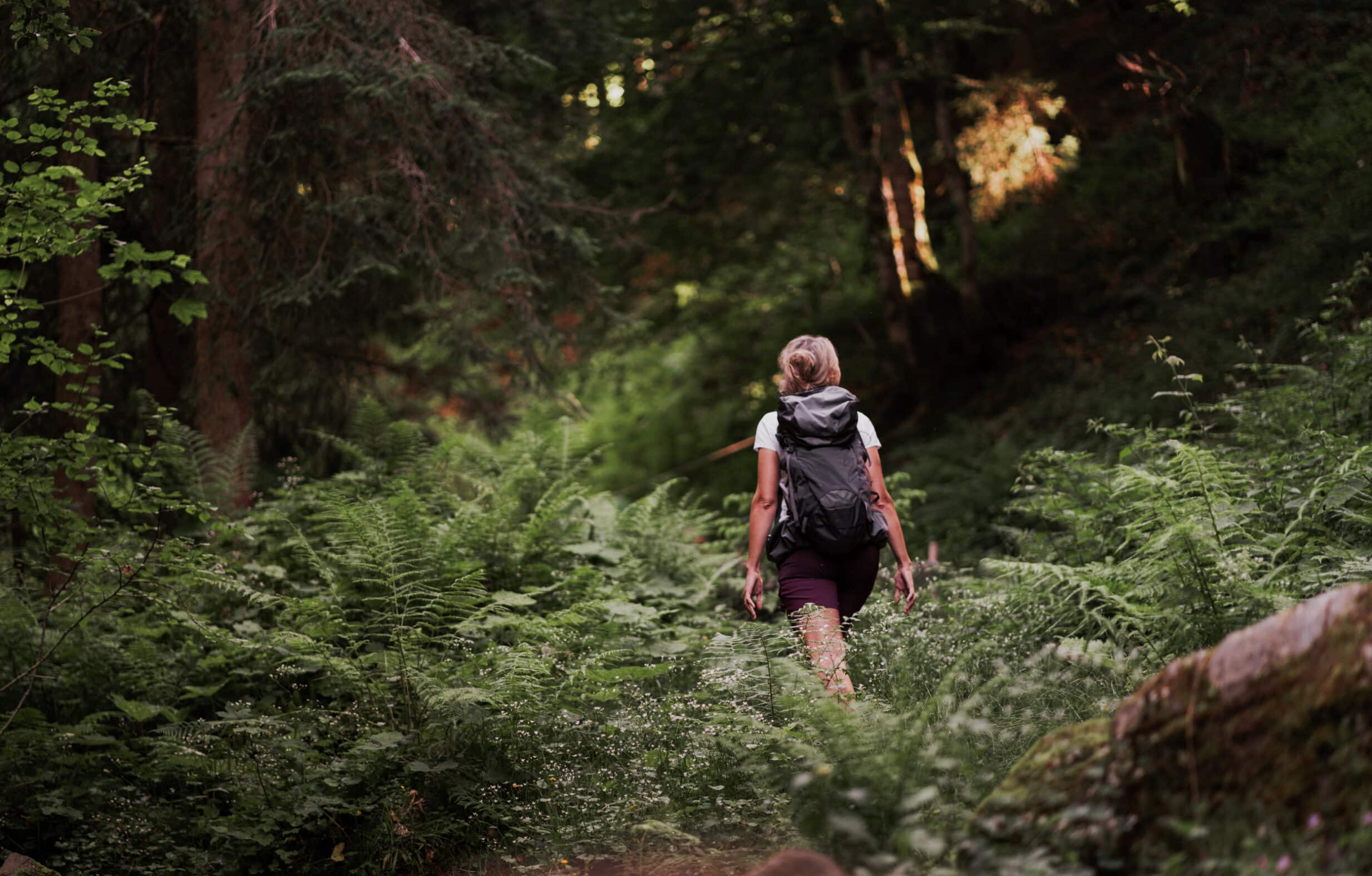 Wandern rund um den pointenhof