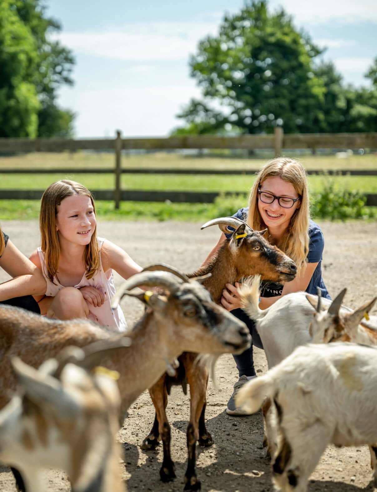 haslinger-hof-streichelzoo-ziegen-8